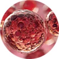 アスタキサンチン